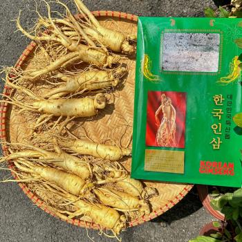Nhân Sâm Hàn Quốc 6 củ/ kg