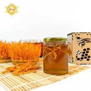 Mật ong ngâm Đông Trùng Fungi