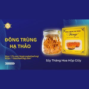 NẤM ĐÔNG TRÙNG HẠ THẢO SẤY THĂNG HOA | DƯỢC THẢO FUNGI | HỘP GIẤY 10G