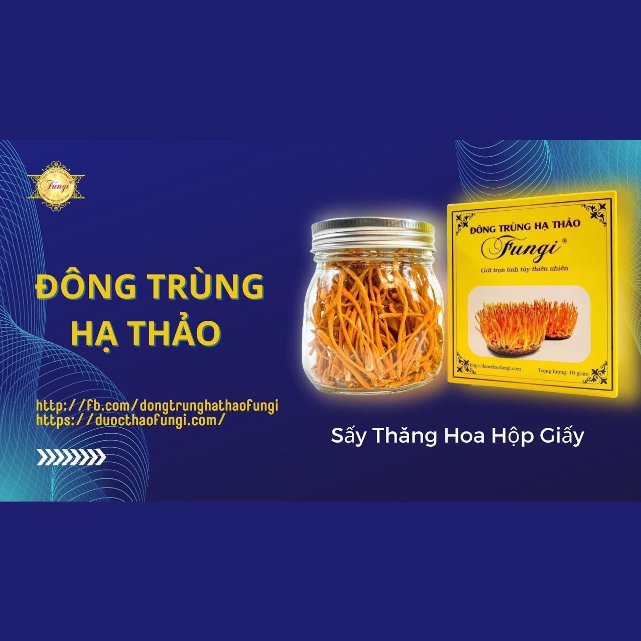NẤM ĐÔNG TRÙNG HẠ THẢO SẤY THĂNG HOA | DƯỢC THẢO FUNGI | HỘP GIẤY 10G