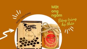ĐÔNG TRÙNG HẠ THẢO NGÂM MẬT ONG 2023 | DƯỢC THẢO FUNGI