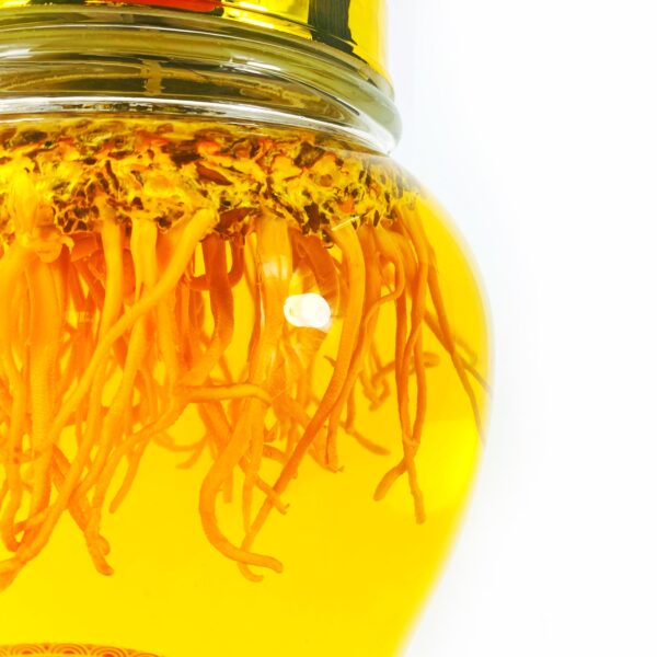 Bình Rượu Kim Ngân Nấm 3L Hộp Gỗ