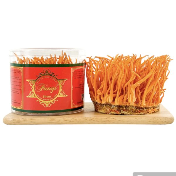 Nấm Đông Trùng Hạ Thảo Tươi Fungi